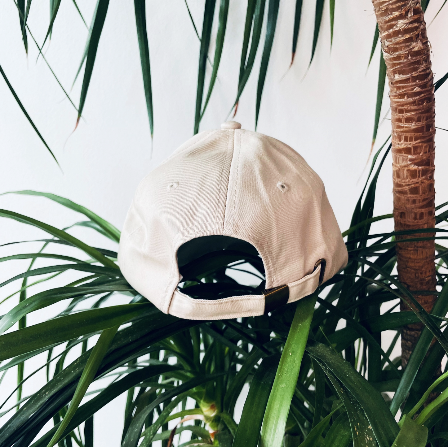 Otterwise Cap Back
